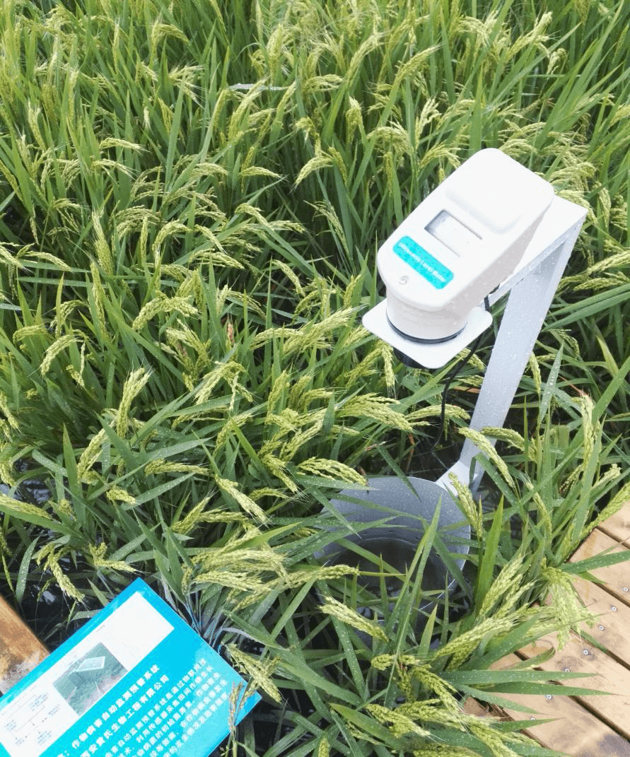 智慧農(nóng)業(yè)遠(yuǎn)程云監(jiān)測系統(tǒng)